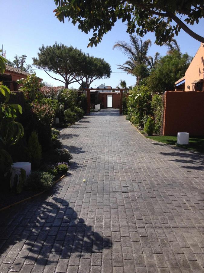 Estudio Para Pareja Con Jardincito Privado Barbaco Cadiz Exterior photo